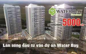 novaland dau tu cho thue