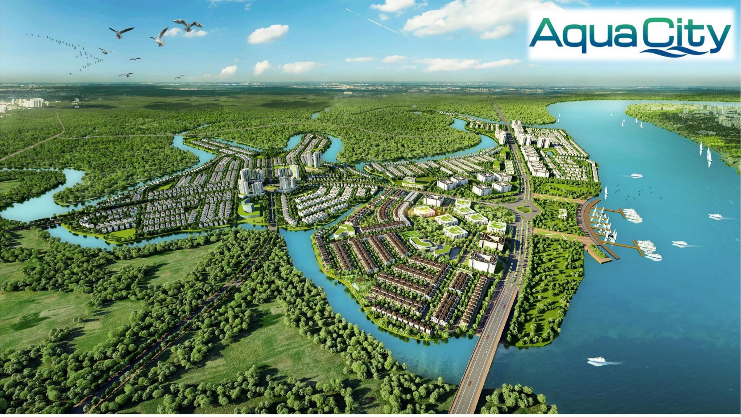 phoi canh aqua city